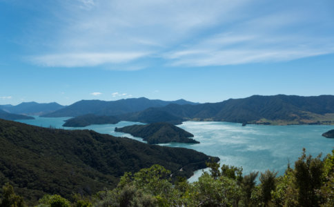 Hiking & Sailing in the Marlborough Sounds