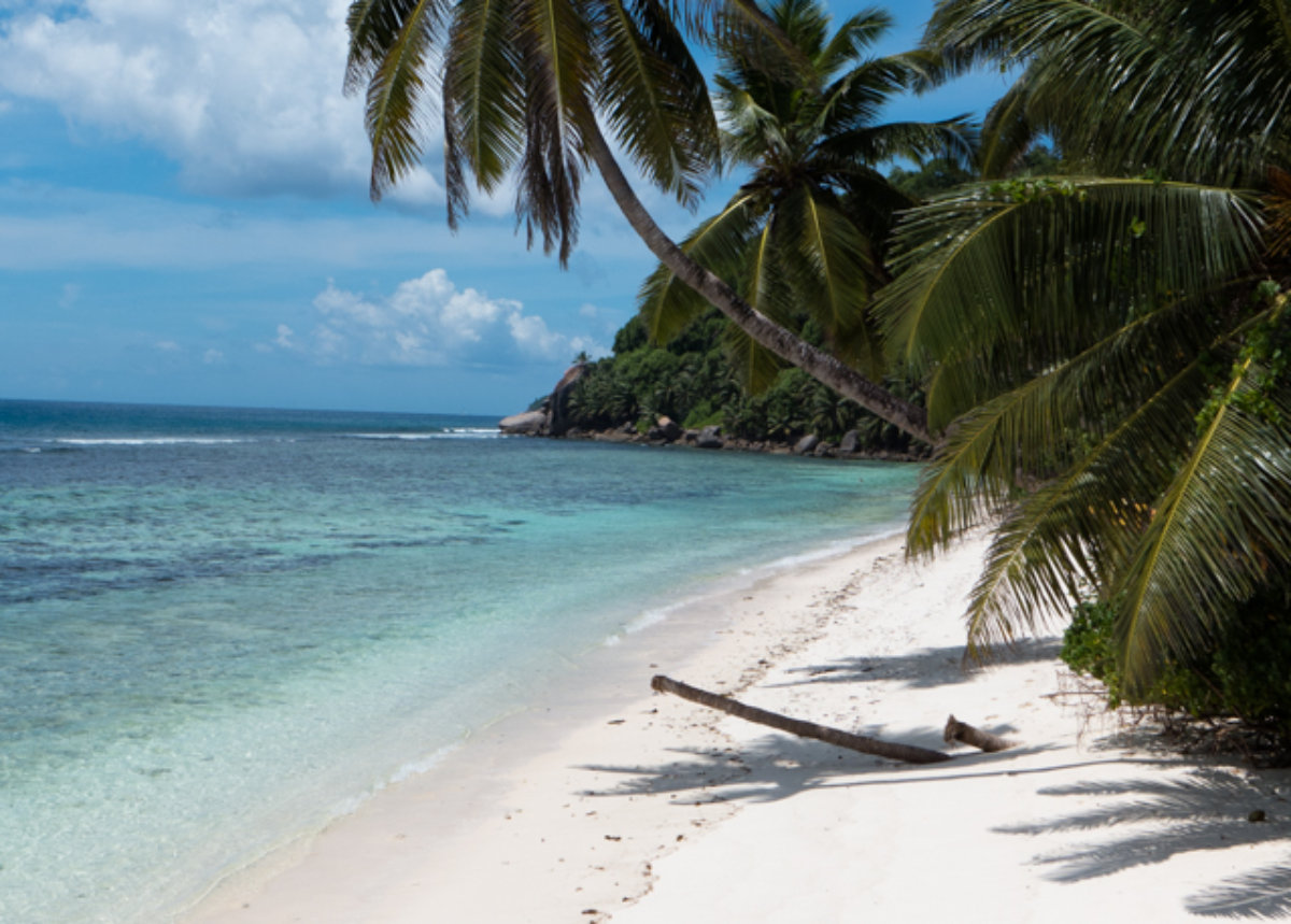 Bonzour from the Seychelles - Two And Fro